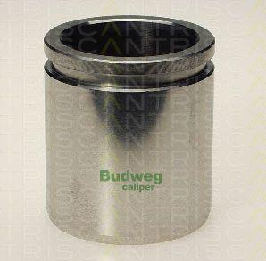 Triscan 8170 234810 - Piston, etrier frana aaoparts.ro