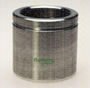 Triscan 8170 235718 - Piston, etrier frana aaoparts.ro