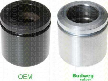 Triscan 8170 235732 - Piston, etrier frana aaoparts.ro