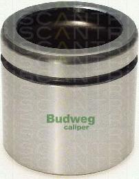 Triscan 8170 235726 - Piston, etrier frana aaoparts.ro