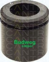 Triscan 8170 236036 - Piston, etrier frana aaoparts.ro