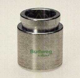 Triscan 8170 233819 - Piston, etrier frana aaoparts.ro