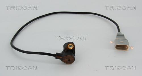 Triscan 8855 29104 - Senzor impulsuri, arbore cotit aaoparts.ro