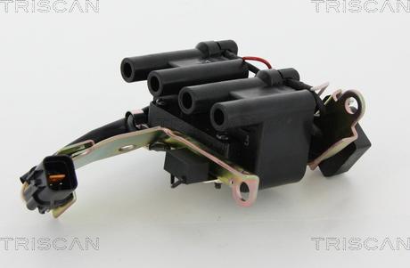 Triscan 8860 43058 - Bobina de inductie aaoparts.ro