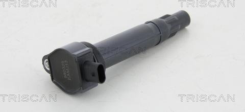 Triscan 8860 10009 - Bobina de inductie aaoparts.ro