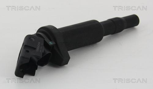 Triscan 8860 11013 - Bobina de inductie aaoparts.ro