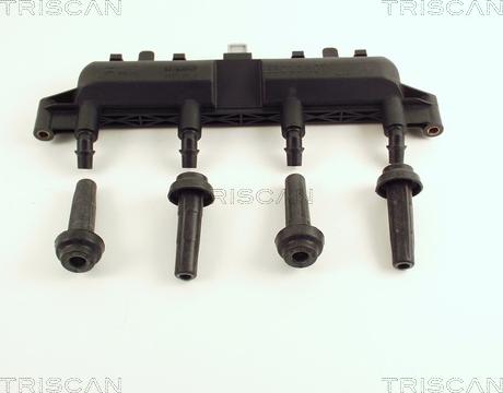 Triscan 8860 28002 - Bobina de inductie aaoparts.ro