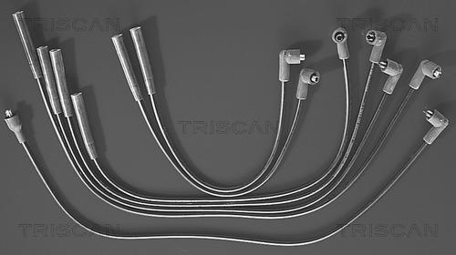 Triscan 8860 7125 - Set cablaj aprinder aaoparts.ro