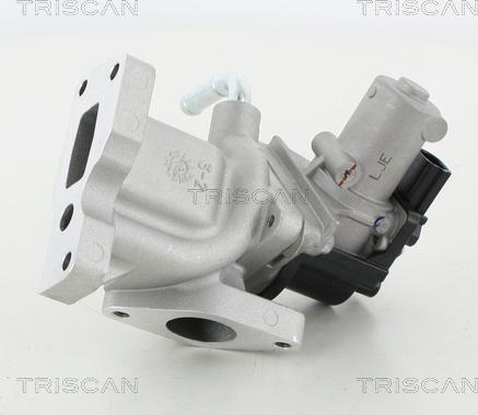 Triscan 8813 44031 - Supapa EGR aaoparts.ro