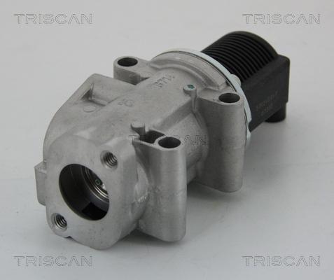 Triscan 8813 15032 - Supapa EGR aaoparts.ro