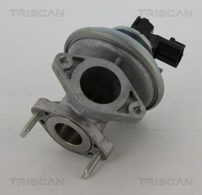 Triscan 8813 16045 - Supapa EGR aaoparts.ro