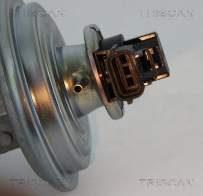 Triscan 8813 16045 - Supapa EGR aaoparts.ro