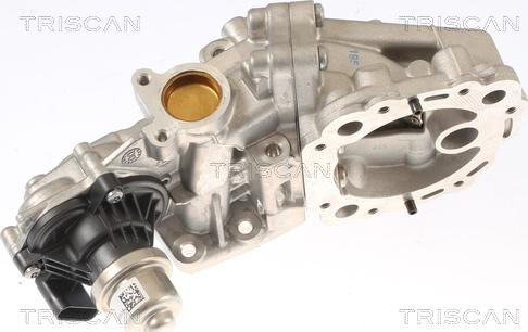 Triscan 8813 16001 - Supapa EGR aaoparts.ro