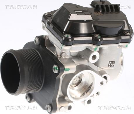 Triscan 8813 16002 - Supapa EGR aaoparts.ro