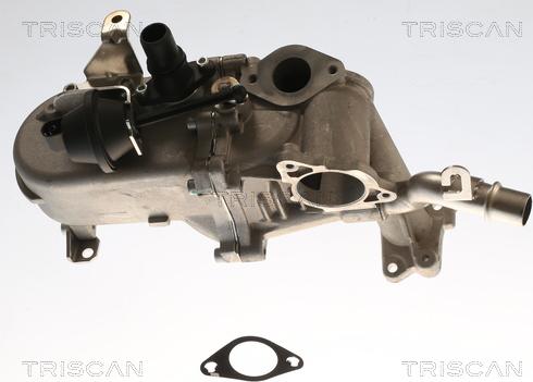 Triscan 8813 16115 - Radiator, recirculare gaze de esapament aaoparts.ro