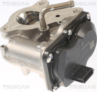 Triscan 8813 10116 - Supapa EGR aaoparts.ro