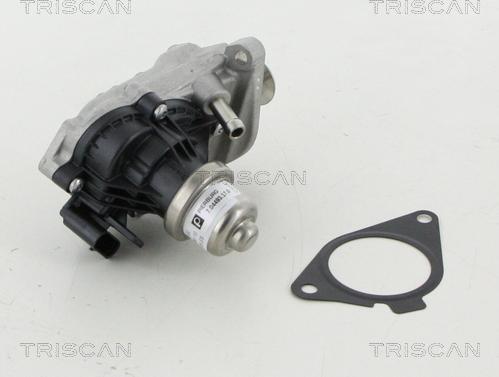 Triscan 8813 11007 - Supapa EGR aaoparts.ro