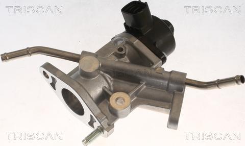 Triscan 8813 13068 - Supapa EGR aaoparts.ro