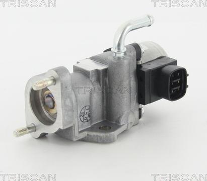 Triscan 8813 13002 - Supapa EGR aaoparts.ro
