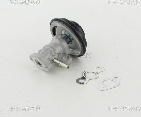 Triscan 8813 13030 - Supapa EGR aaoparts.ro