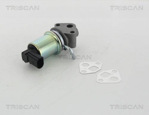 Triscan 8813 29049 - Supapa EGR aaoparts.ro