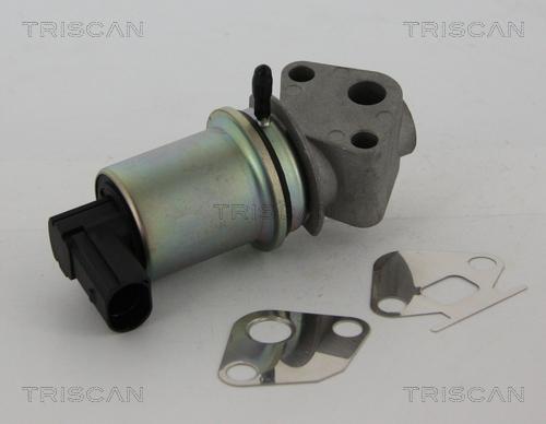 Triscan 8813 29044 - Supapa EGR aaoparts.ro