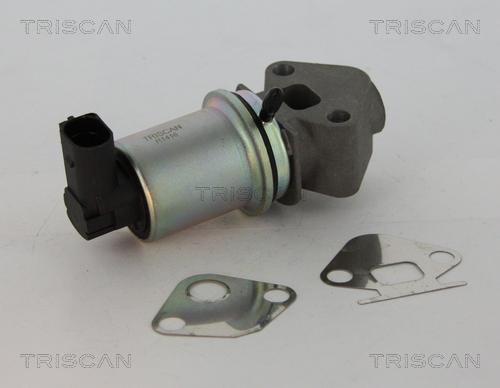 Triscan 8813 29045 - Supapa EGR aaoparts.ro
