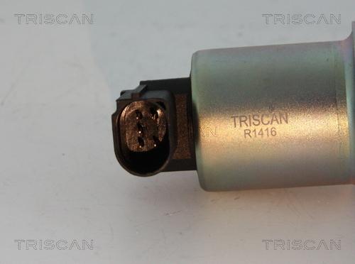 Triscan 8813 29004 - Supapa EGR aaoparts.ro