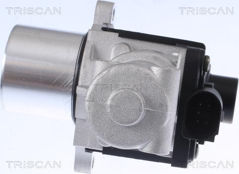 Triscan 8813 29015 - Supapa EGR aaoparts.ro