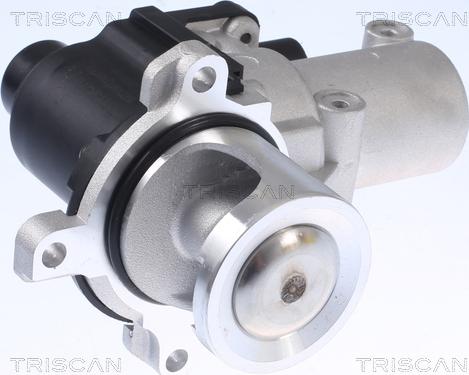 Triscan 8813 29015 - Supapa EGR aaoparts.ro