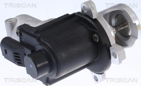 Triscan 8813 29015 - Supapa EGR aaoparts.ro
