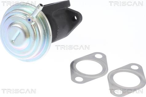 Triscan 8813 29016 - Supapa EGR aaoparts.ro
