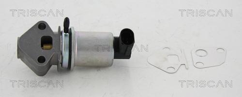 Triscan 8813 29024 - Supapa EGR aaoparts.ro