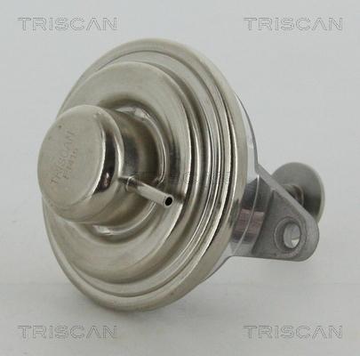 Triscan 8813 24054 - Supapa EGR aaoparts.ro