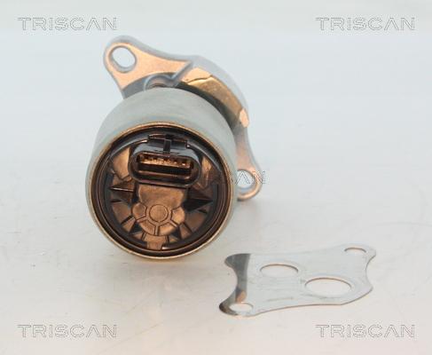 Triscan 8813 24004 - Supapa EGR aaoparts.ro