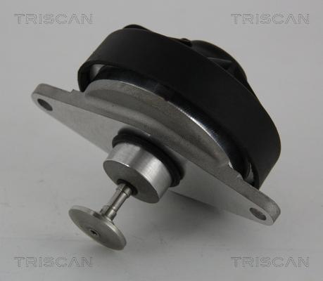 Triscan 8813 24202 - Supapa EGR aaoparts.ro