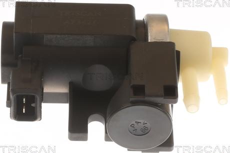 Triscan 8813 25045 - Convertor presiune, esapament aaoparts.ro