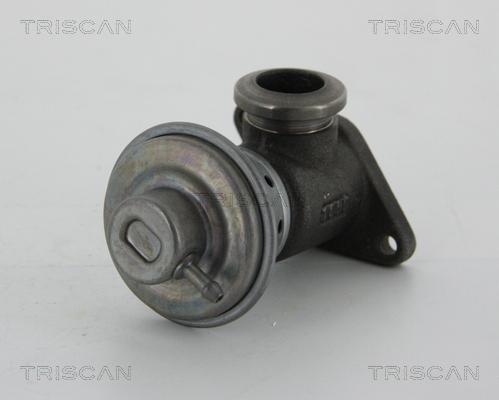 Triscan 8813 28014 - Supapa EGR aaoparts.ro