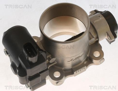 Triscan 8820 13013 - Carcasa clapeta aaoparts.ro