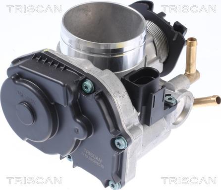 Triscan 8820 29025 - Carcasa clapeta aaoparts.ro