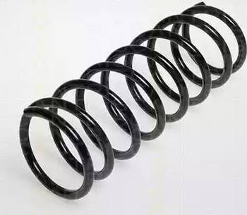 Triscan 8750 4206 - Arc spiral aaoparts.ro