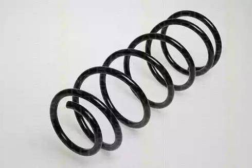 Triscan 8750 1663 - Arc spiral aaoparts.ro