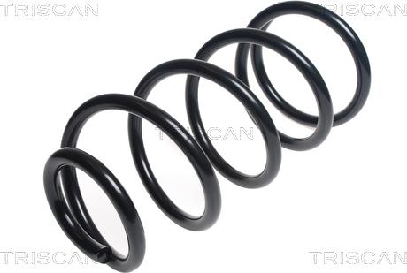 Triscan 8750 16124 - Arc spiral aaoparts.ro