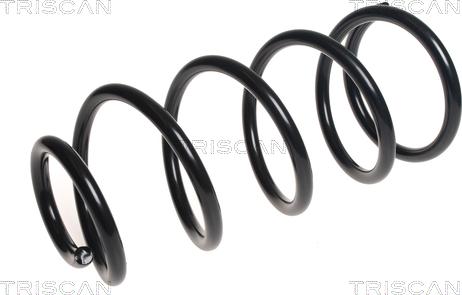 Triscan 8750 16121 - Arc spiral aaoparts.ro