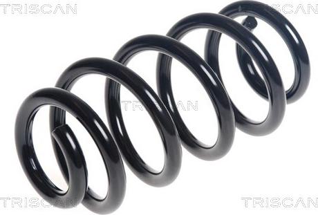 Triscan 8750 11242 - Arc spiral aaoparts.ro
