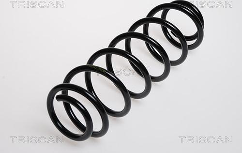 Triscan 8750 29518 - Arc spiral aaoparts.ro