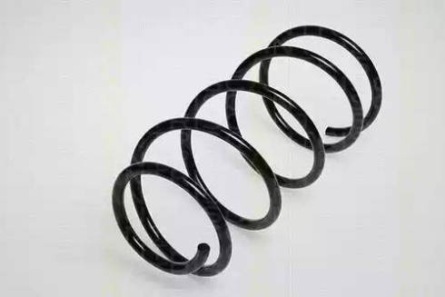 Triscan 8750 2462 - Arc spiral aaoparts.ro