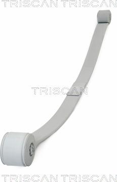 Triscan 8765 16046 - Pachet arc cu foi aaoparts.ro