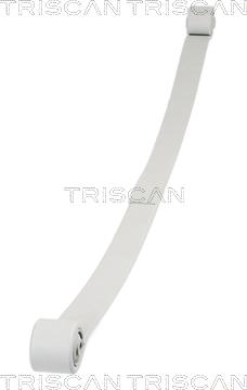 Triscan 8765 16043 - Pachet arc cu foi aaoparts.ro