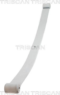 Triscan 8765 10004 - Pachet arc cu foi aaoparts.ro